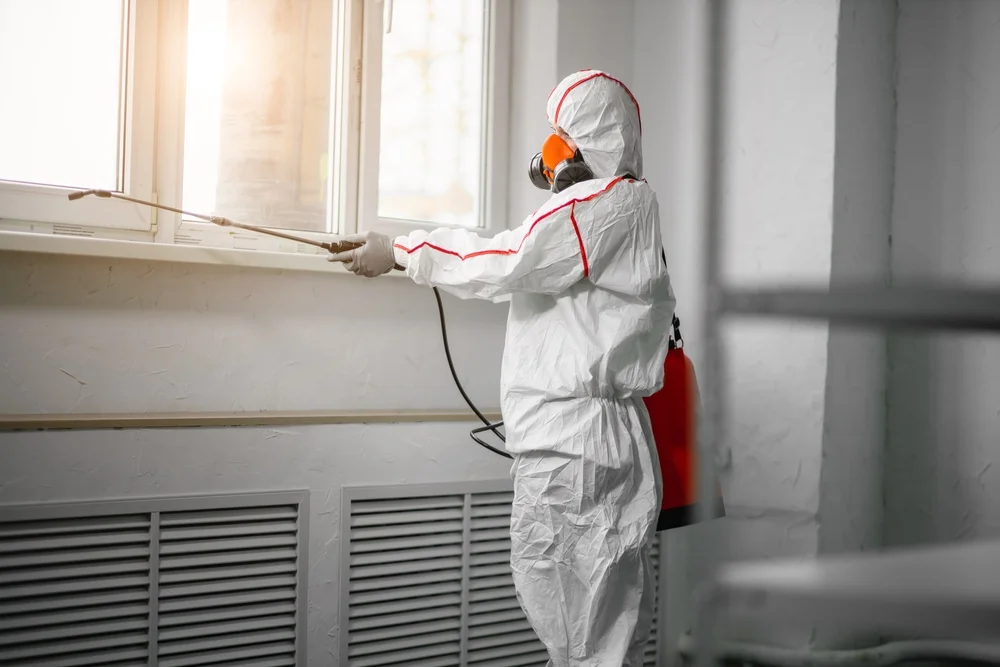Professional mold remediation services in Dexter, IA